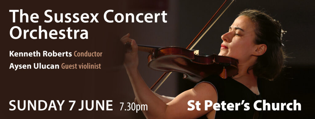 Sussex Concert Orchestra